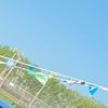 marii_03847