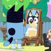 omar_el_zorro