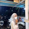 khifa.26