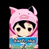 aofi_nkp
