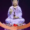 lainguyen5197