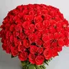 user75841916045534