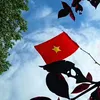 nguyendinhy1980