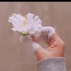 oum83imran