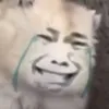 dangdepztri