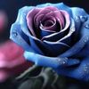 connielee739