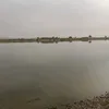 mohammadand21