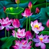 m.siu.p.trai