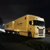 lion_01tj