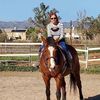 sarahwilliams3544