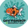 gavifishshop