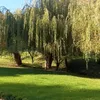 andreisariko