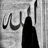 user4442405395101
