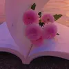 sar4h4sni