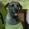 victoria_480p