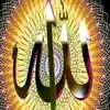 hayat.mohammed024