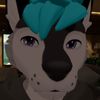 wolfvr01