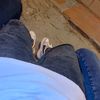 cris_zvz911