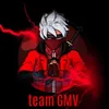 dietox_gmv