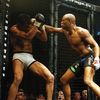 ufc.lover254
