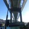 davisgonn