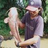 fajar_gondrong
