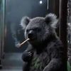 koalasisbitches
