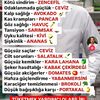 user28m2sdv2xs