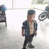 phamnamdinh1