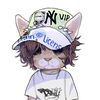 drainedcats