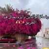 jijielalami