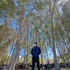 bahrulmuhammadc_