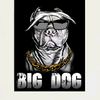 bigdogismyname