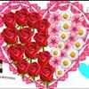 darlyn_13212