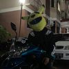 y15zrdaus