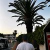 besleaga_dragos