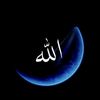 user6703606919874