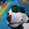 diegoarias7252