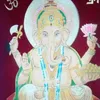 rohannepal445