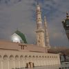naseemiqbal838
