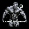 landy_aesthetic