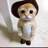 el_gato_official96