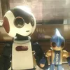 takamomo228