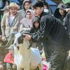 faridmaulana2193