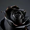 kaatiqueen77