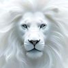 catress621