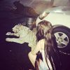 hugss_444ionaa
