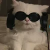 minhduc4517