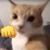 _xmonkey0