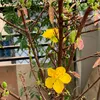 thanhbuichi880